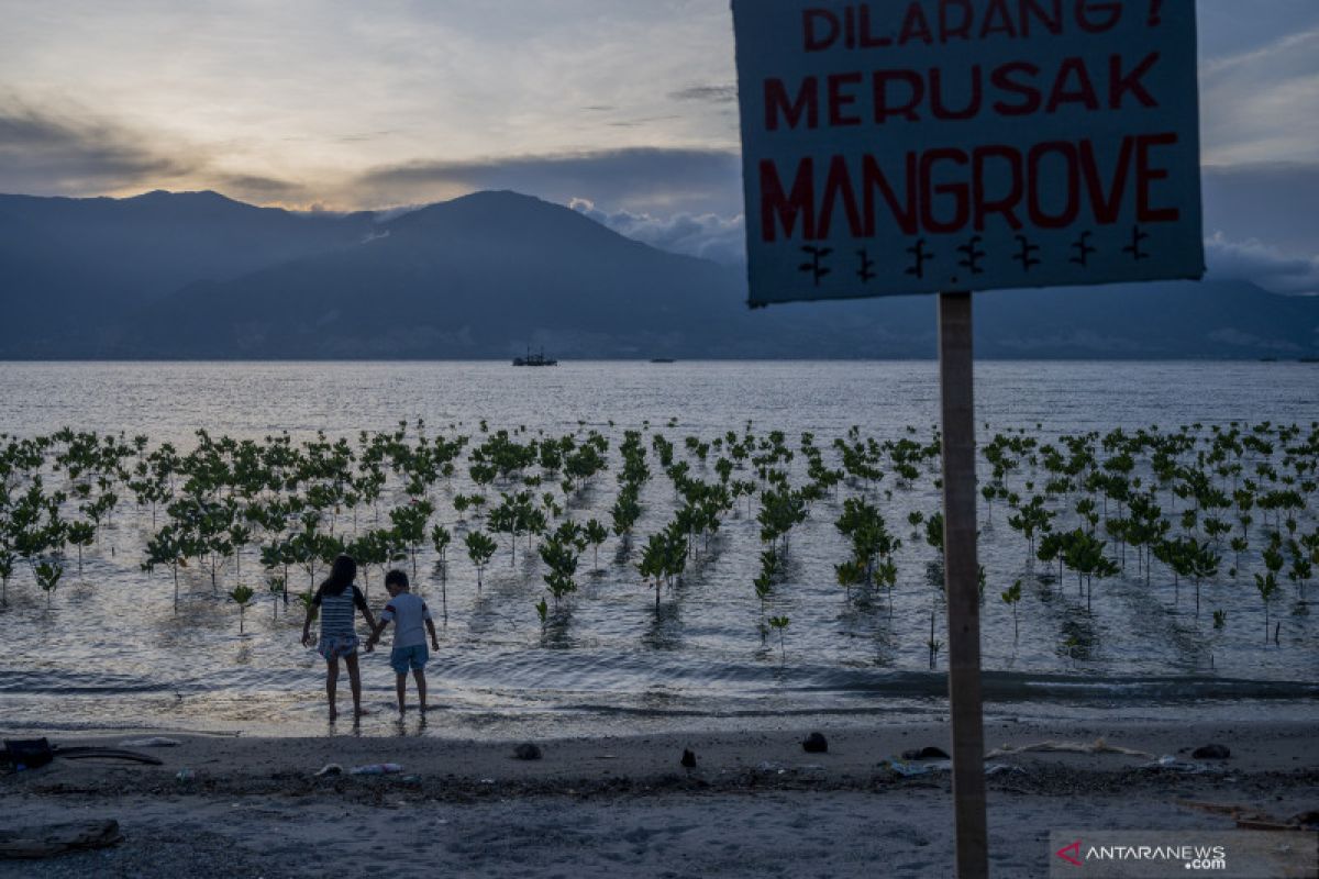 IFRC: 57 Juta jiwa di Asia Pasifik terdampak bencana iklim