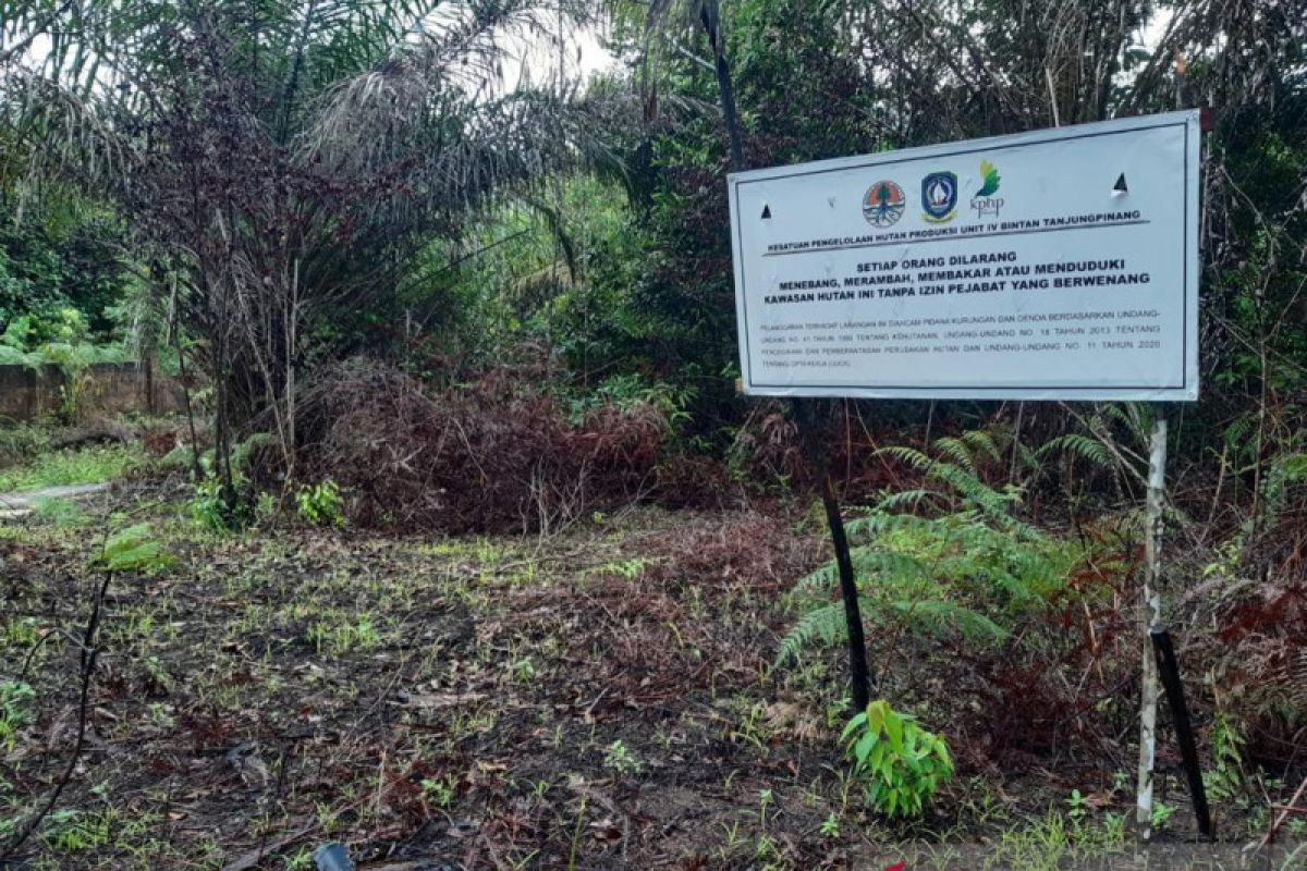 Pengamat soroti konflik lahan di kawasan hutan Bintan