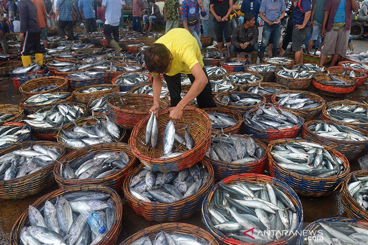 KKP-GEF bersinergi wujudkan kebijakan penangkapan ikan terukur