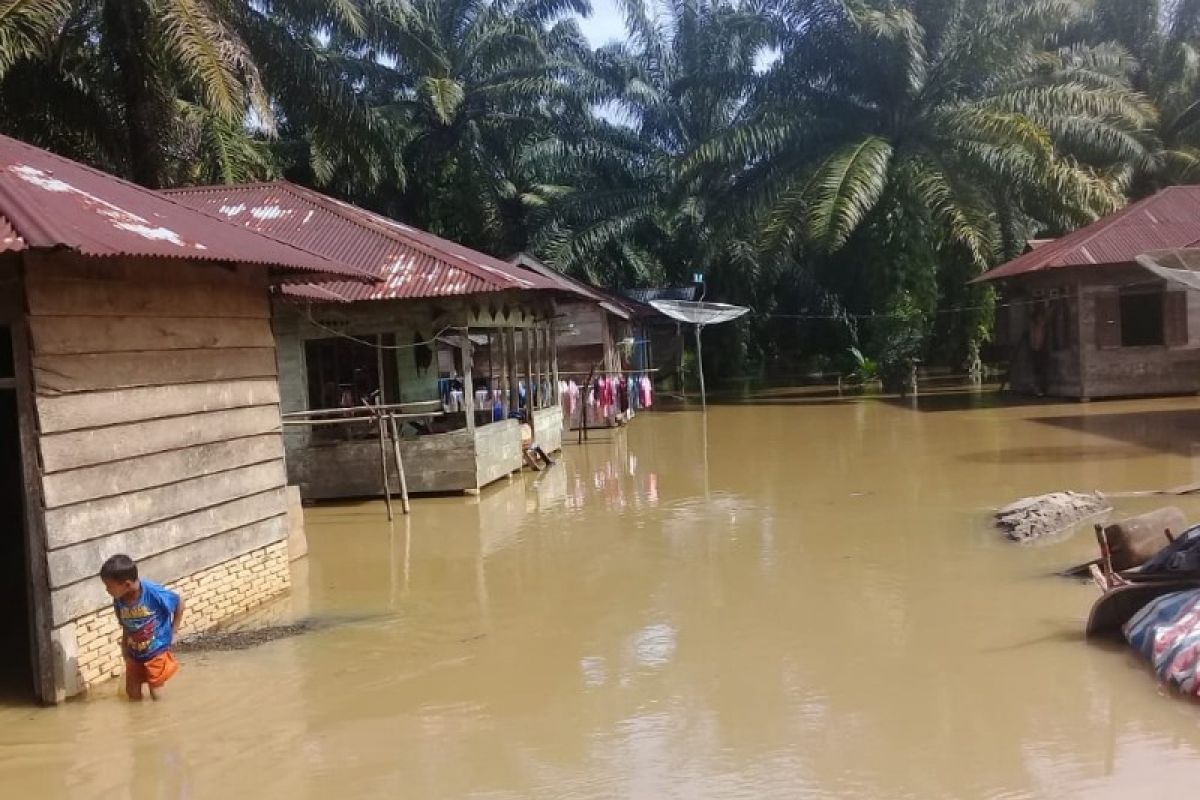 Sungai Batang Toru meluap rendam puluhan rumah di Tapsel