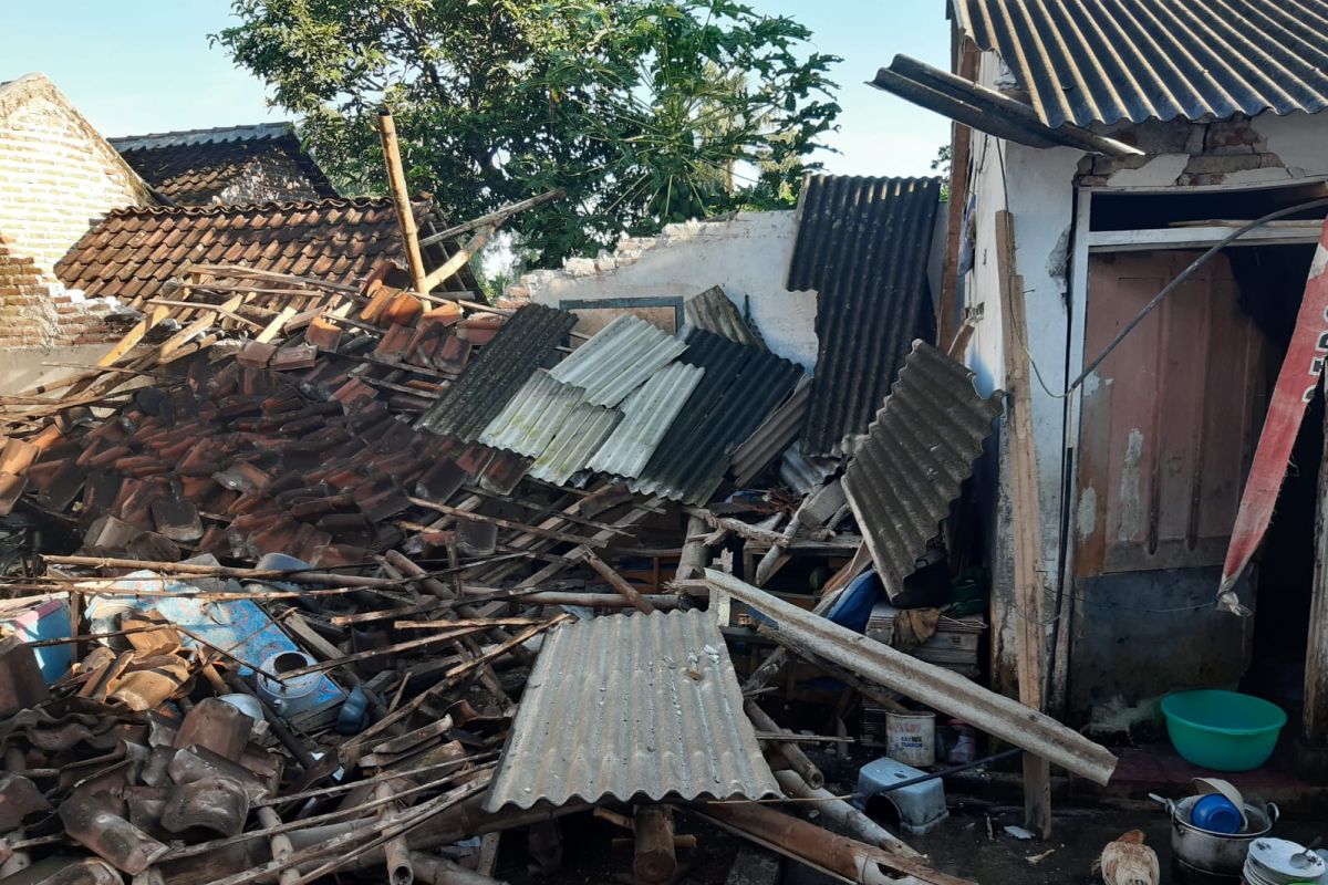 Earthquake in Jember damages dozens of houses