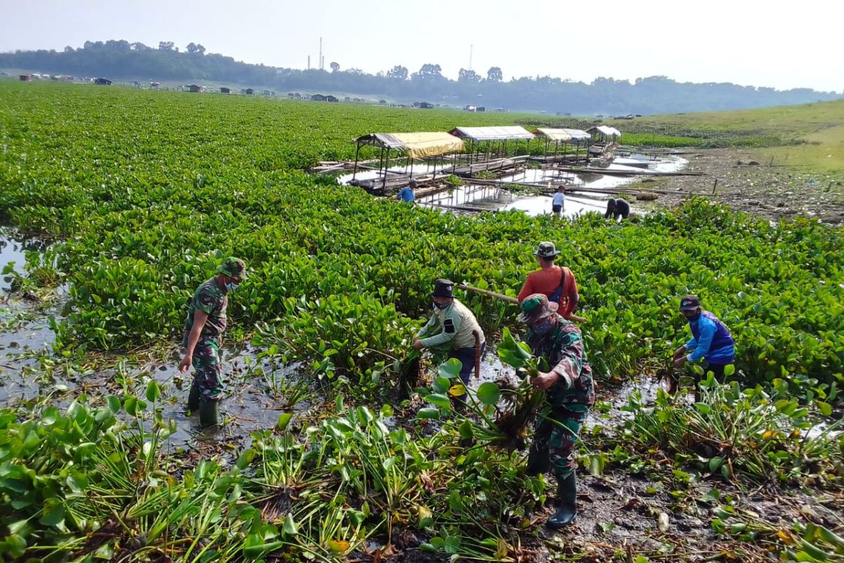 TNI dan nelayan gotong-royong bersihkan eceng gondok Waduk Jatiluhur