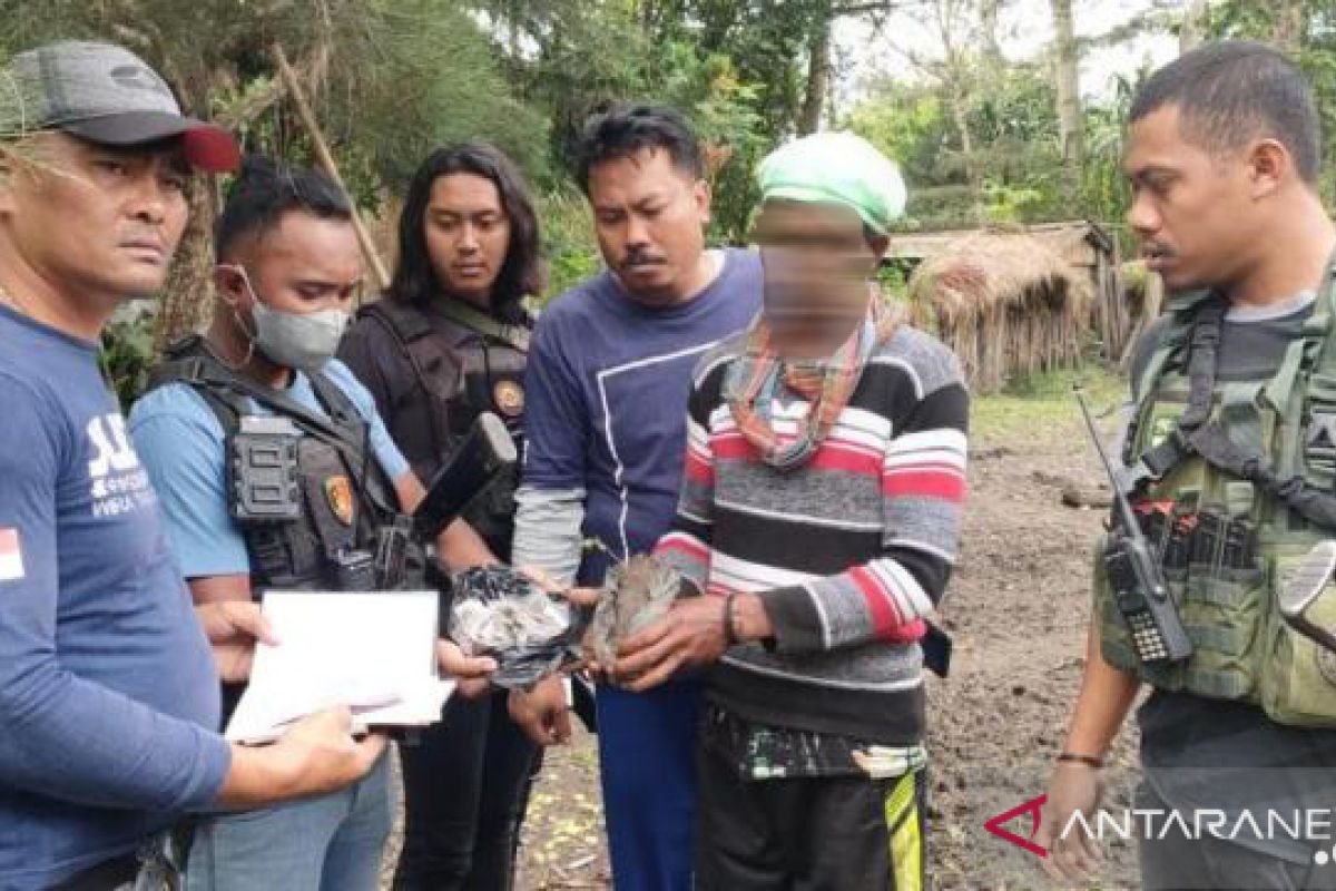 Polres Jayawijaya tangkap oknum perangkat desa pengedar ganja