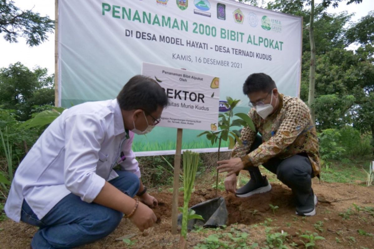 UMK tanam 2.000 pohon di Pegunungan Muria Kudus