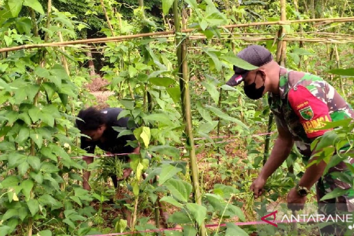 Anggota TNI bantu bersihkan kebun warga di Boven Digoel Papua