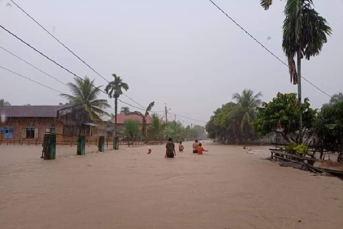 Banjir genangi lima kecamatan di Pesisir Selatan