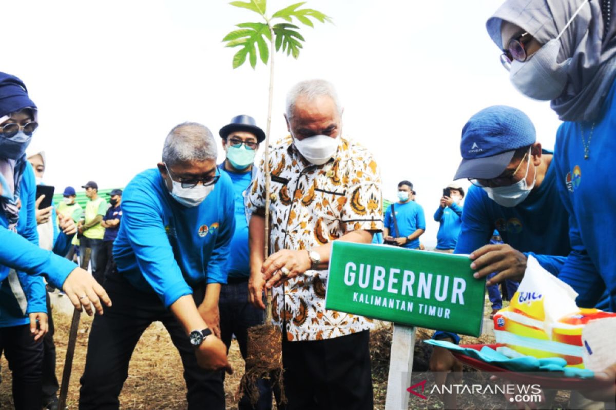 Gubernur Kaltim tanam bibit pohon guna selamatkan ekosistem sungai