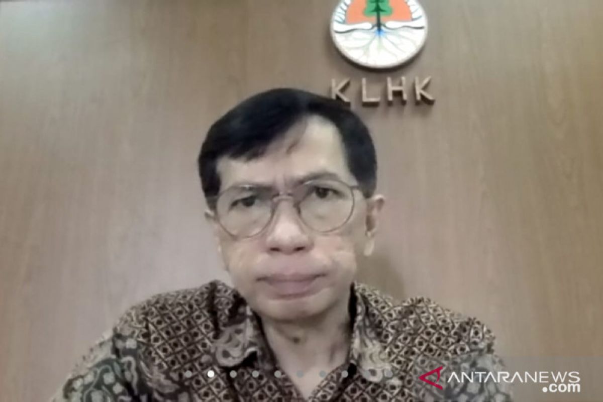 KLHK eksplorasi keterlibatan perempuan dalam Program Investasi Kehutanan