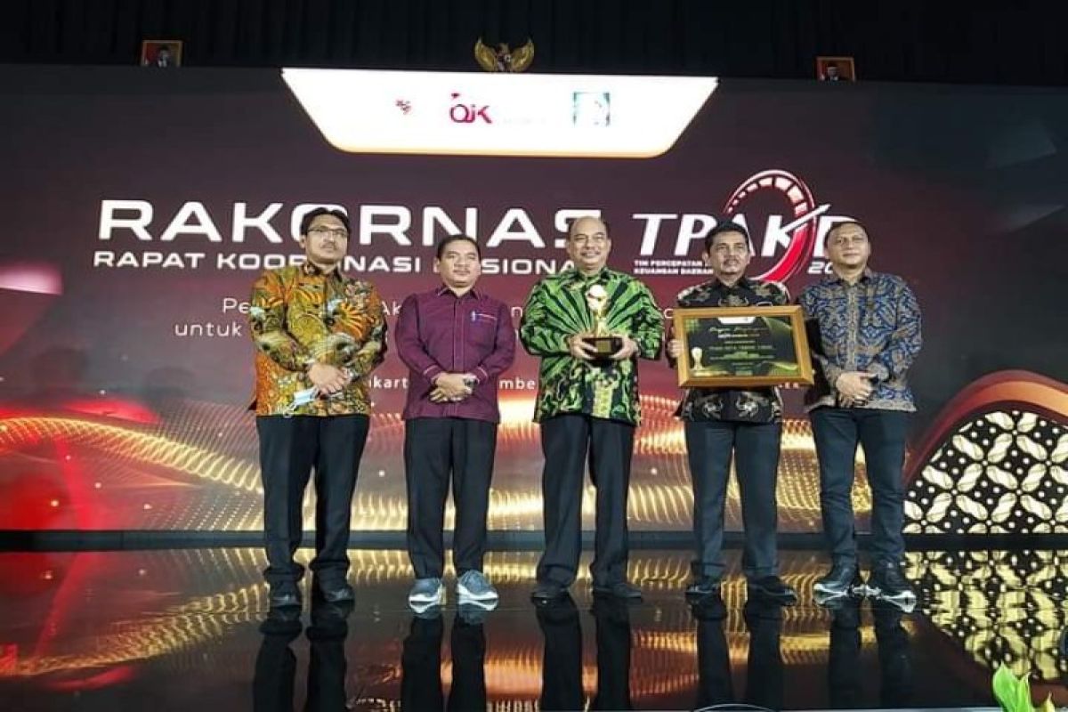 Tebing Tinggi terima penghargaan TPAKD Awards 2021