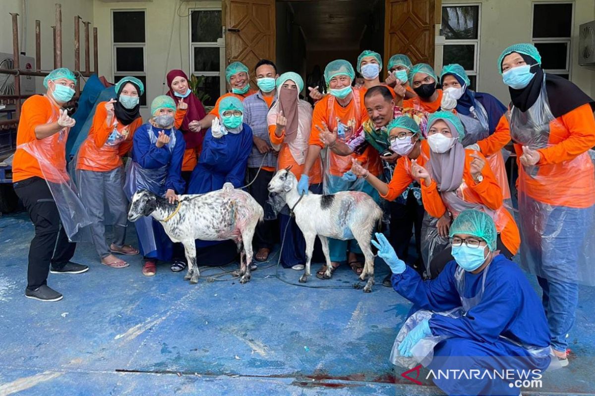 Disnakkeswan Gorontalo Utara gelar pelatihan bedah sesar pada ternak kambing