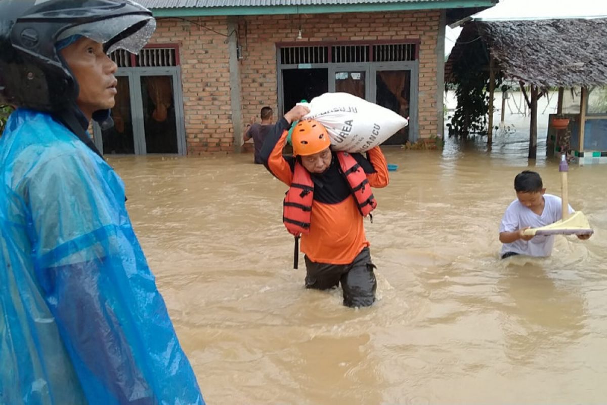 Ratusan rumah terendam banjir di Ranah Batahan Pasaman Barat