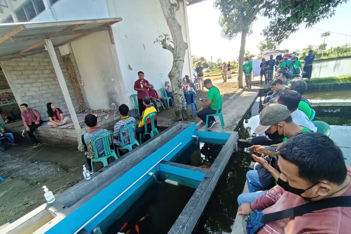 CSR PT AGM : Belajar pembibitan hingga hasil olahan ikan di Batu Kumbung, NTB