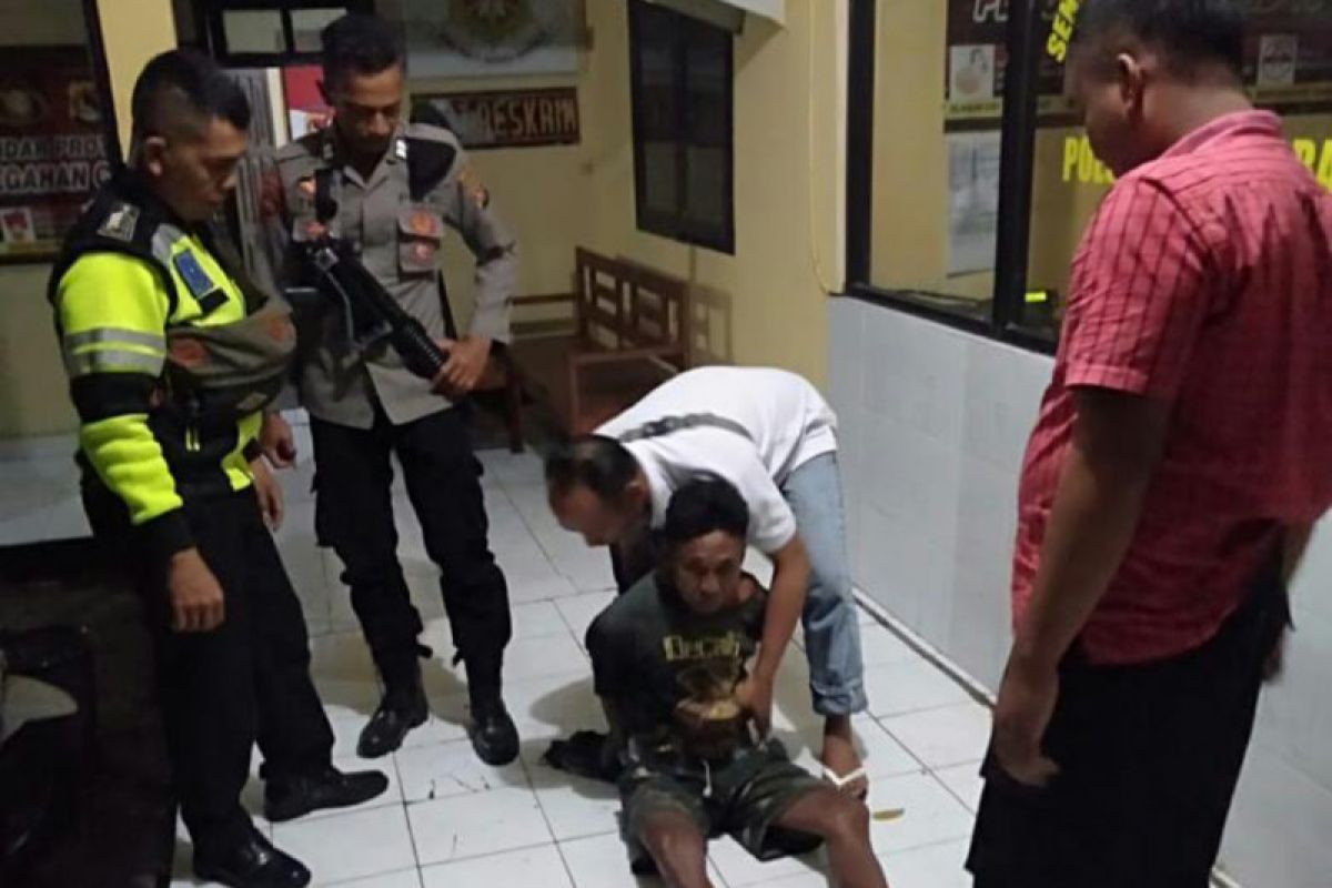 Asyik memikul kambing curian, pria di Lombok Tengah diciduk polisi