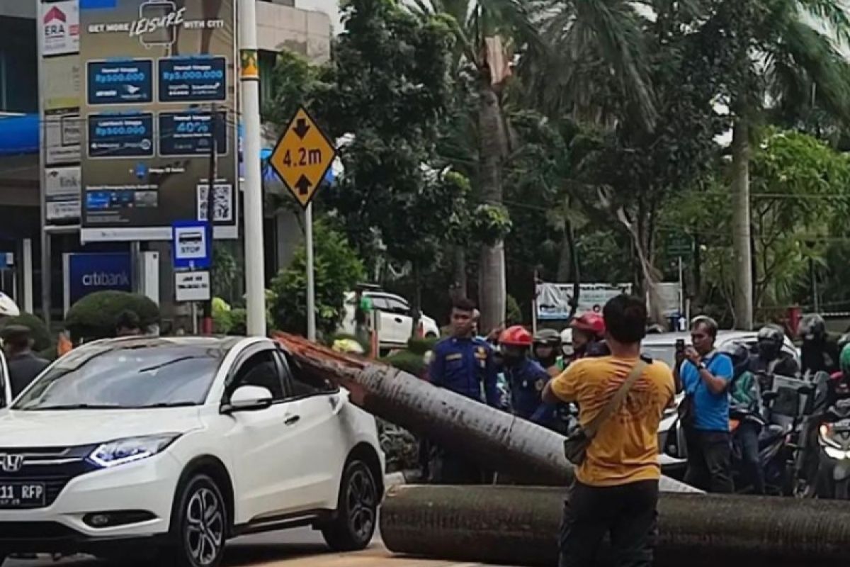 Pengendara motor meninggal akibat tertimpa pohon di Pondok Indah