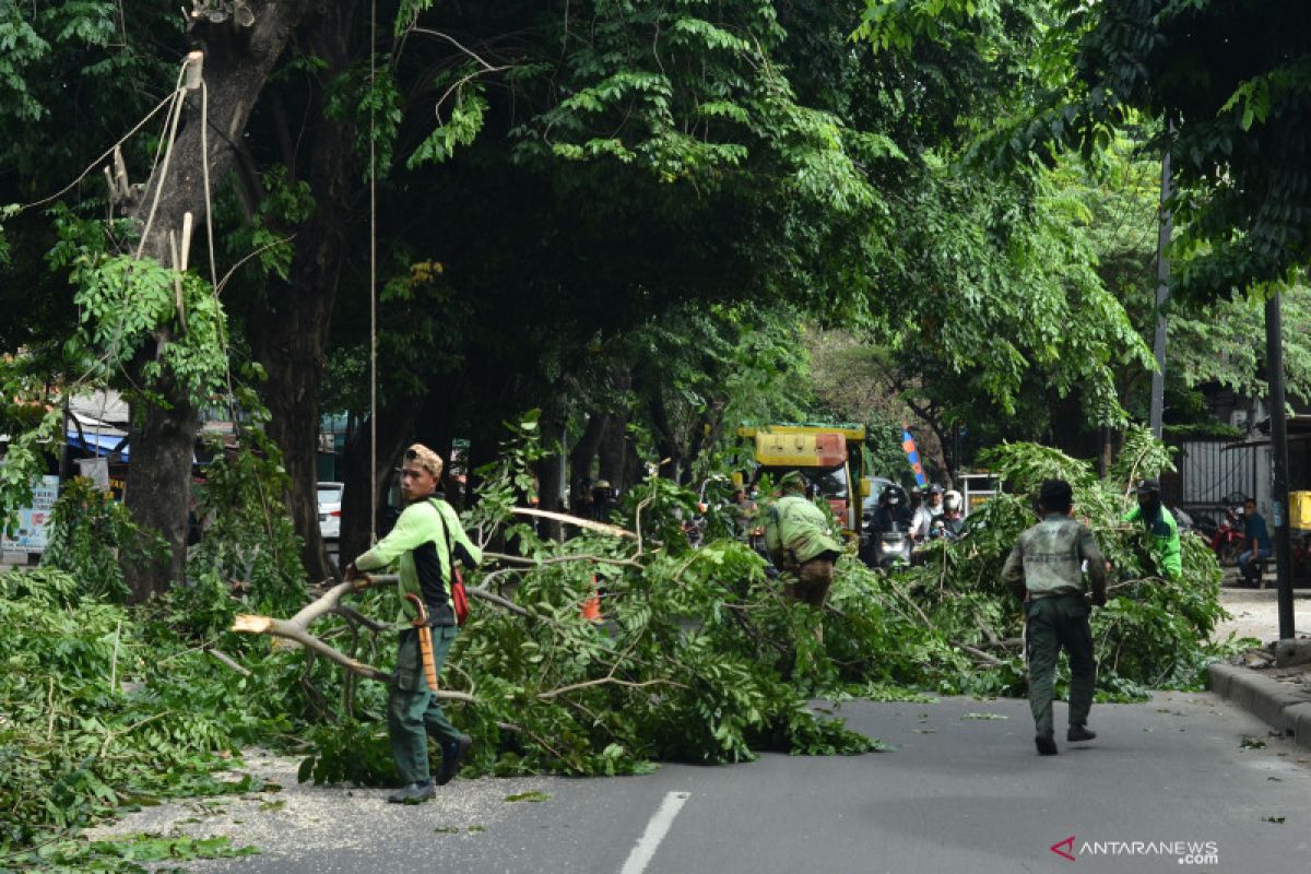 Cuaca ekstrem landa Jakarta