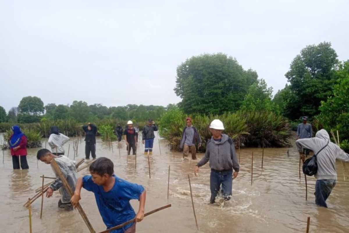 BRGM apresiasi masyarakat rehabilitasi mangrove melalui kegiatan Mangrove Week