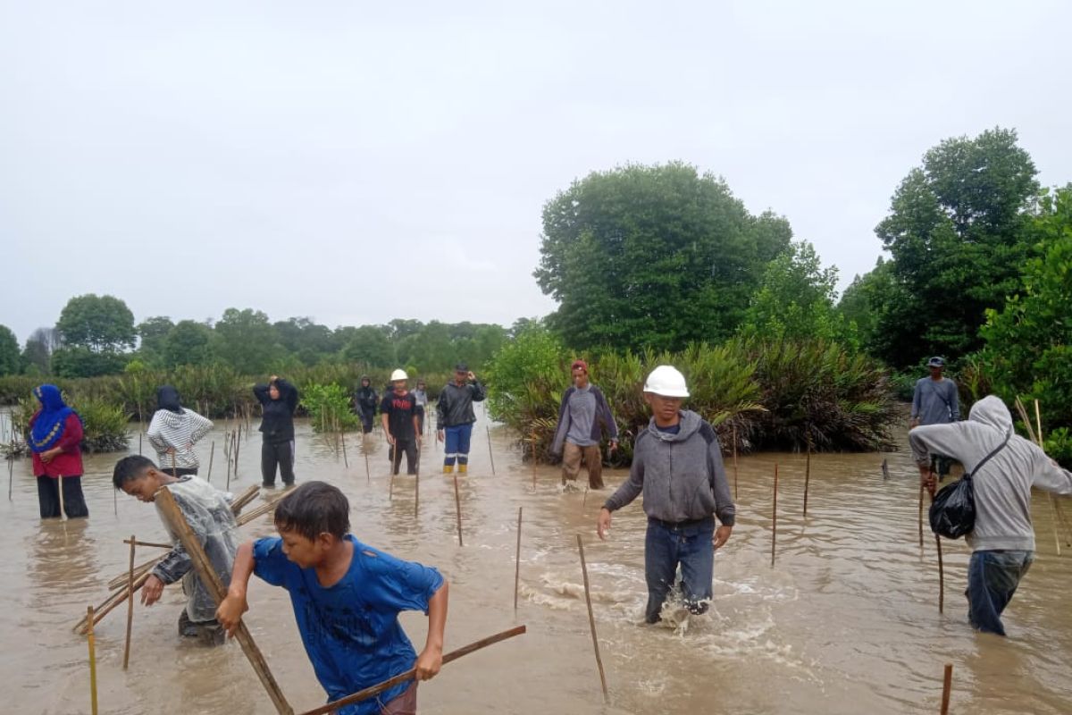 BRGM plans Mangrove Week to honor rehabilitation community's efforts