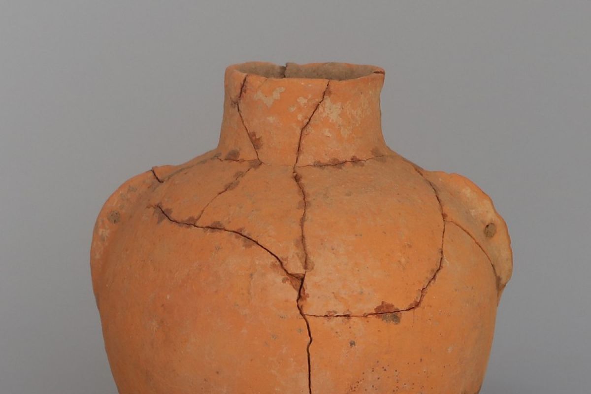 Tim arkeolog temukan sisa-sisa alkohol berusia 8.000 tahun di China
