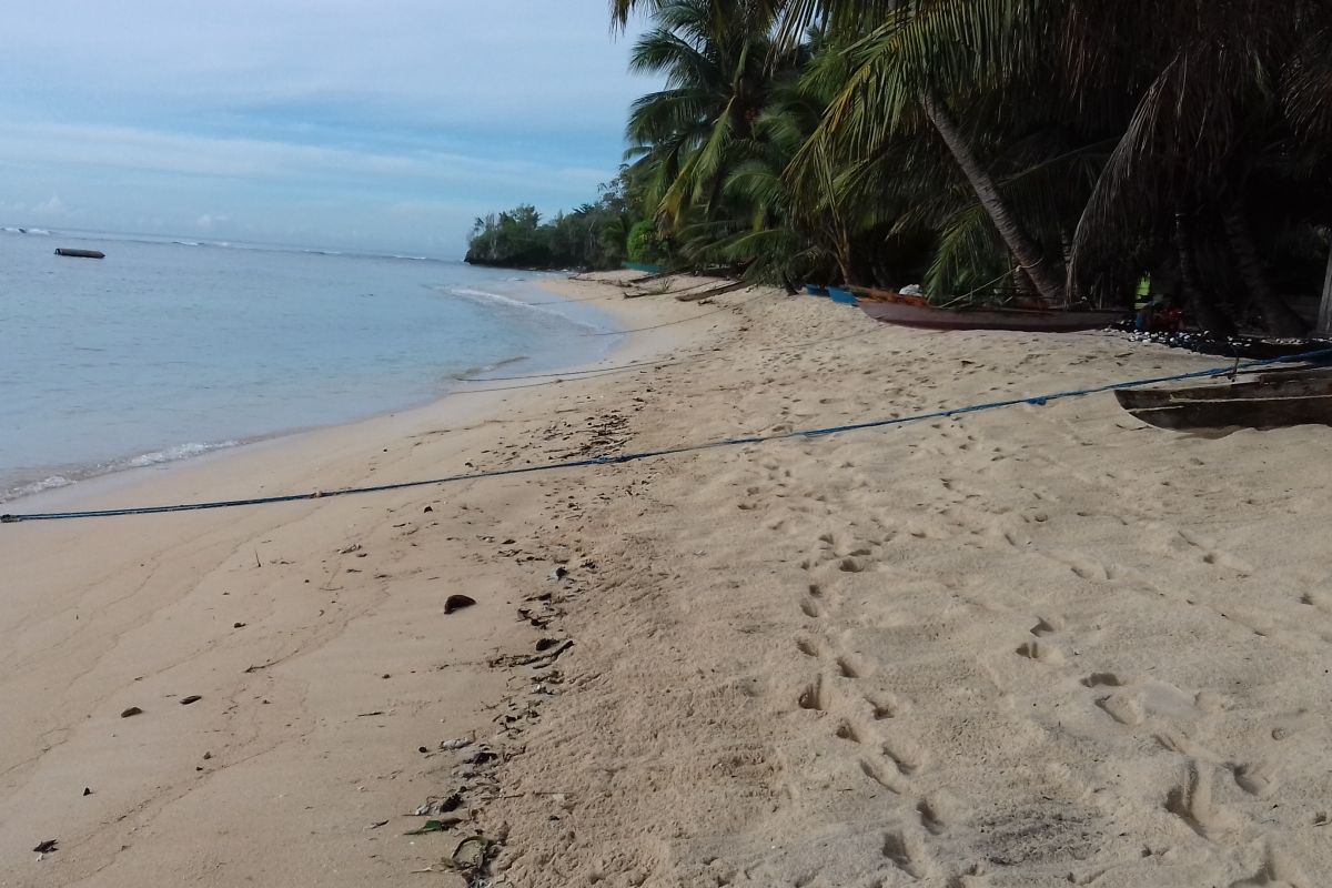 Dispar Morotai intensifkan pelatihan berselancar, jaring wisatawan