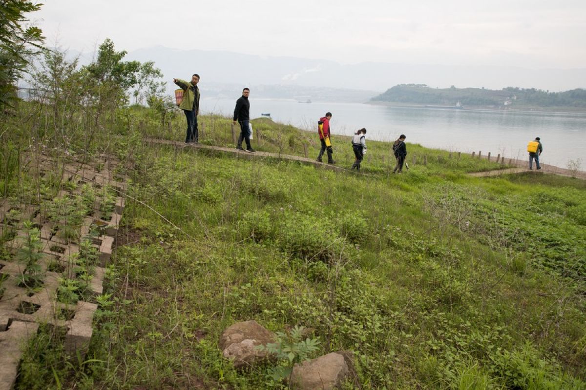 Erosi di Sungai Yangtze China berkurang 9.700 km dalam dua tahun