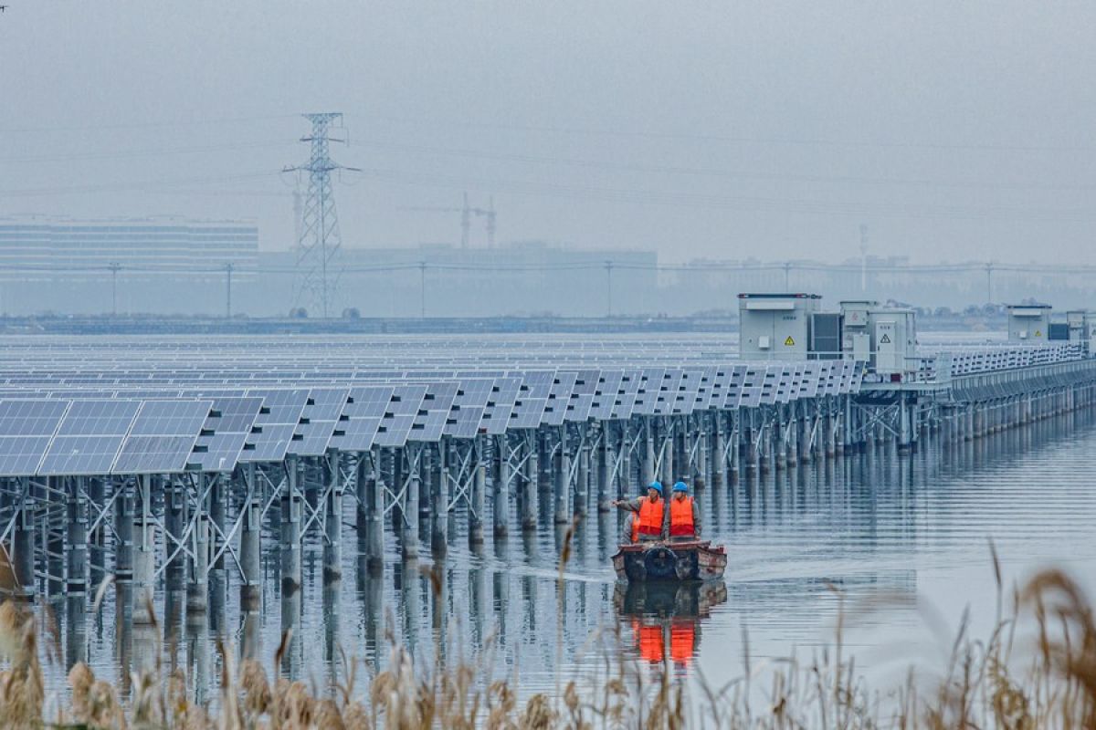 Peternakan ikan di China timur padukan pembangkit listrik fotovoltaik