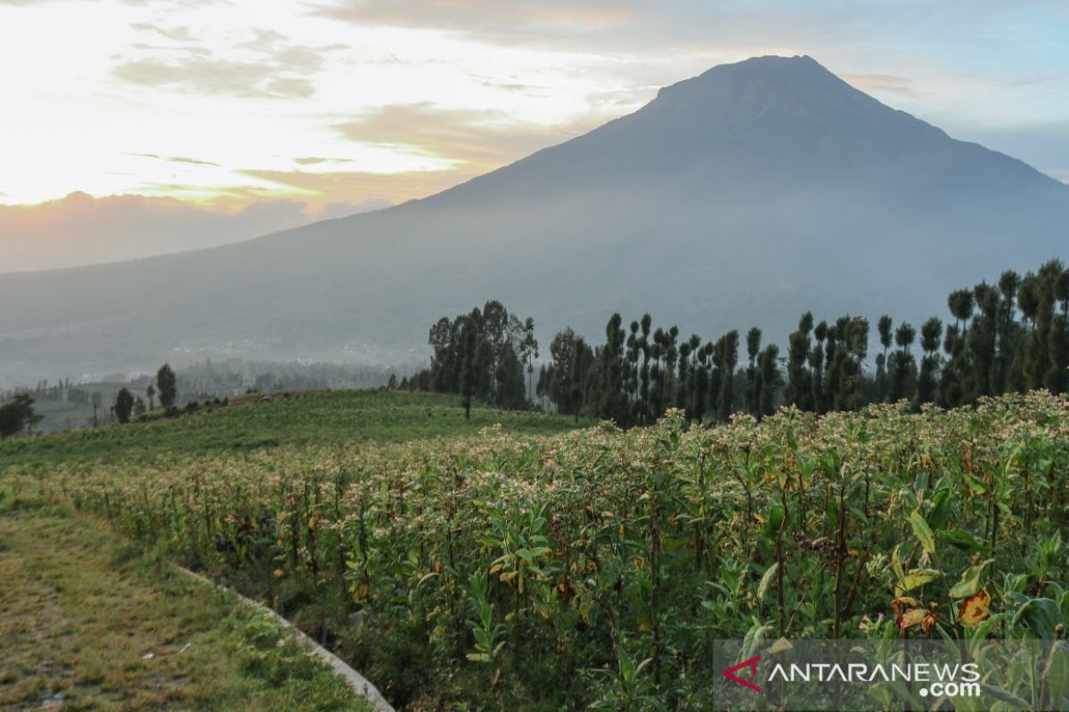 Cara Desa Tlilir bangun kemandirian lewat pariwisata