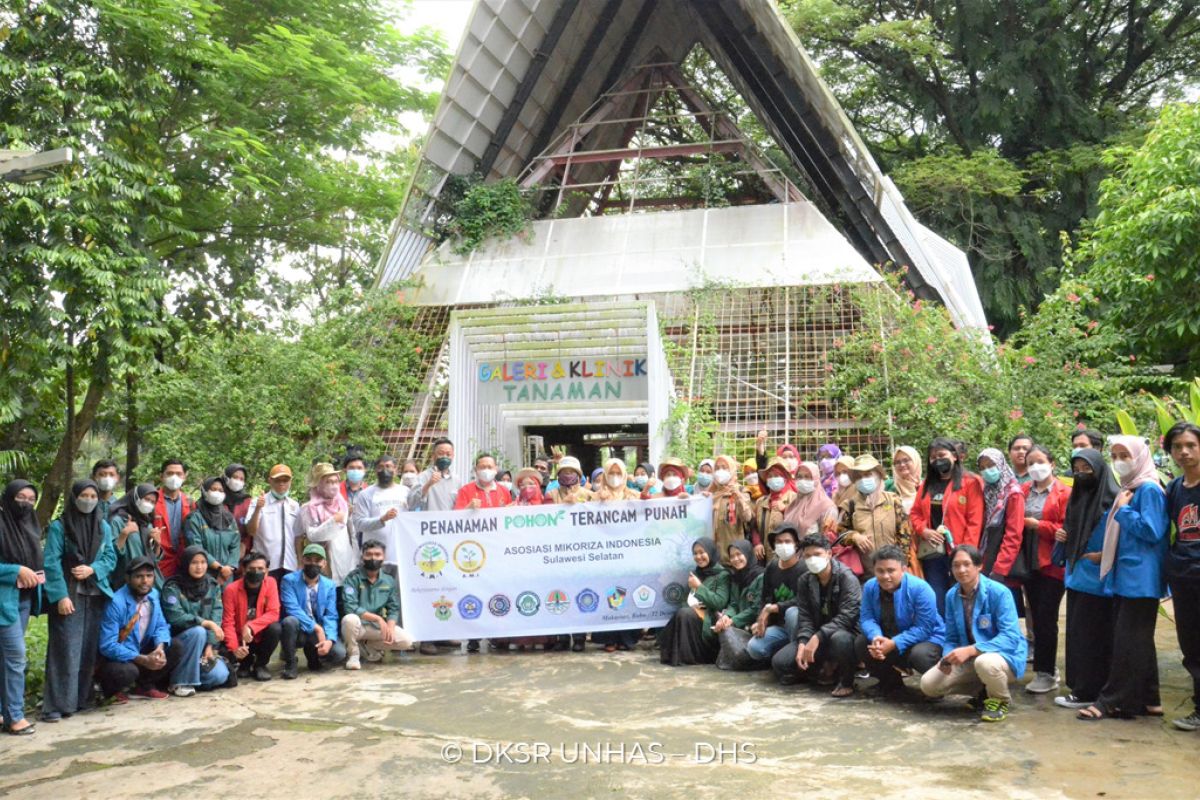 AMI Sulsel gandeng kampus tanam jenis pohon terancam punah