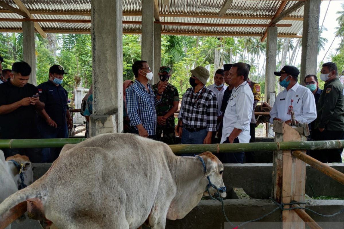 Sulteng resmikan program pengurangan risiko bencana di Donggala