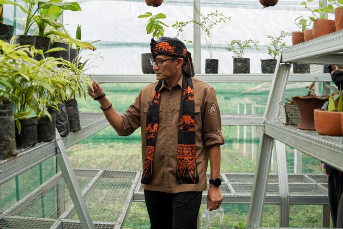 Sandiaga sebut Kampung Agrinex di Banten dapat hadirkan lapangan kerja