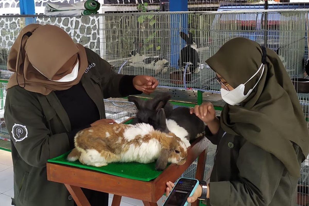 Taman Kyai Langgeng kembangkan wisata edukasi