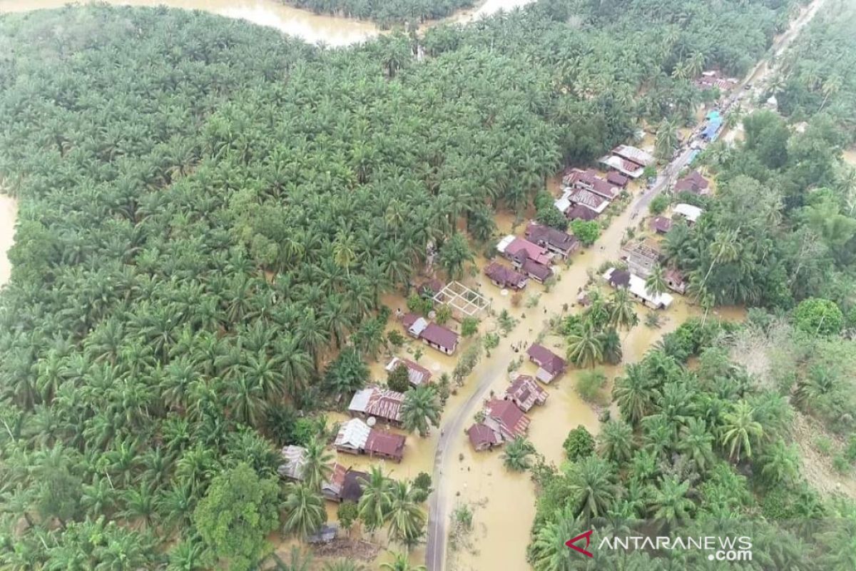 Banjir Madina kehancuran ekologi. KPK hingga Pertamina diminta turun tangan