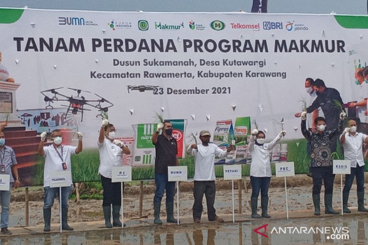 Kementerian BUMN: Petani program Makmur raih banyak keuntungan