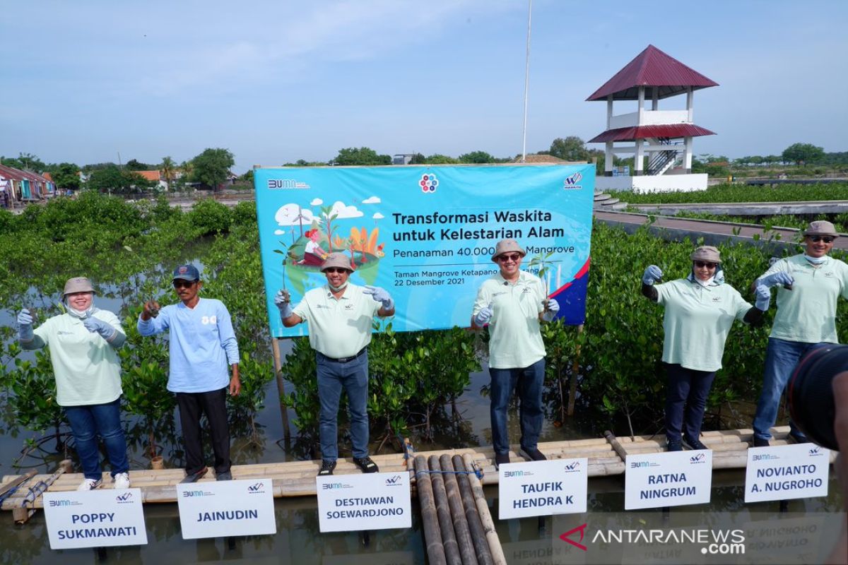 Waskita plants 40 thousand mangrove seeds along Tangerang's shoreline