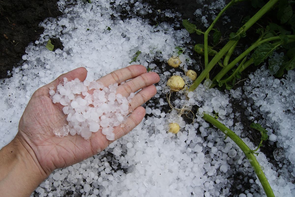 BMKG beri penjelasan soal fenomena hujan es di Malang