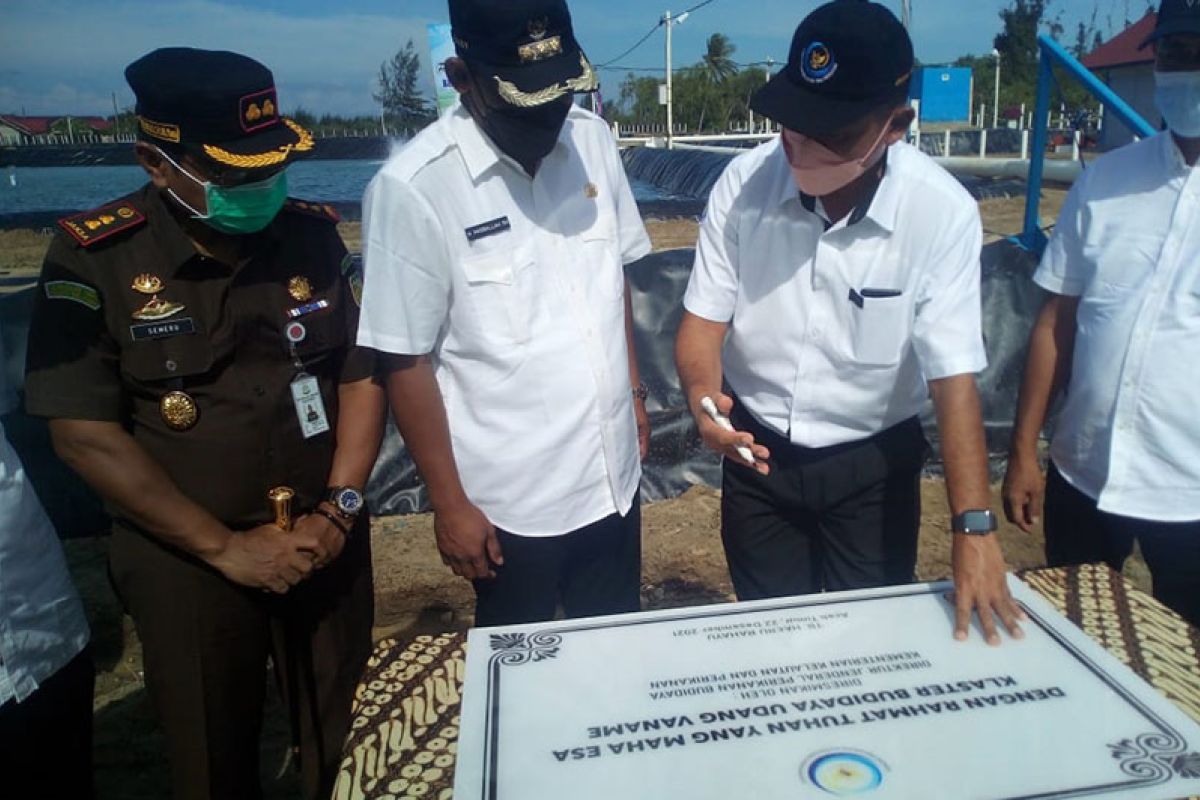 KKP serahkan bantuan tambak vaname kepada masyarakat Aceh Timur
