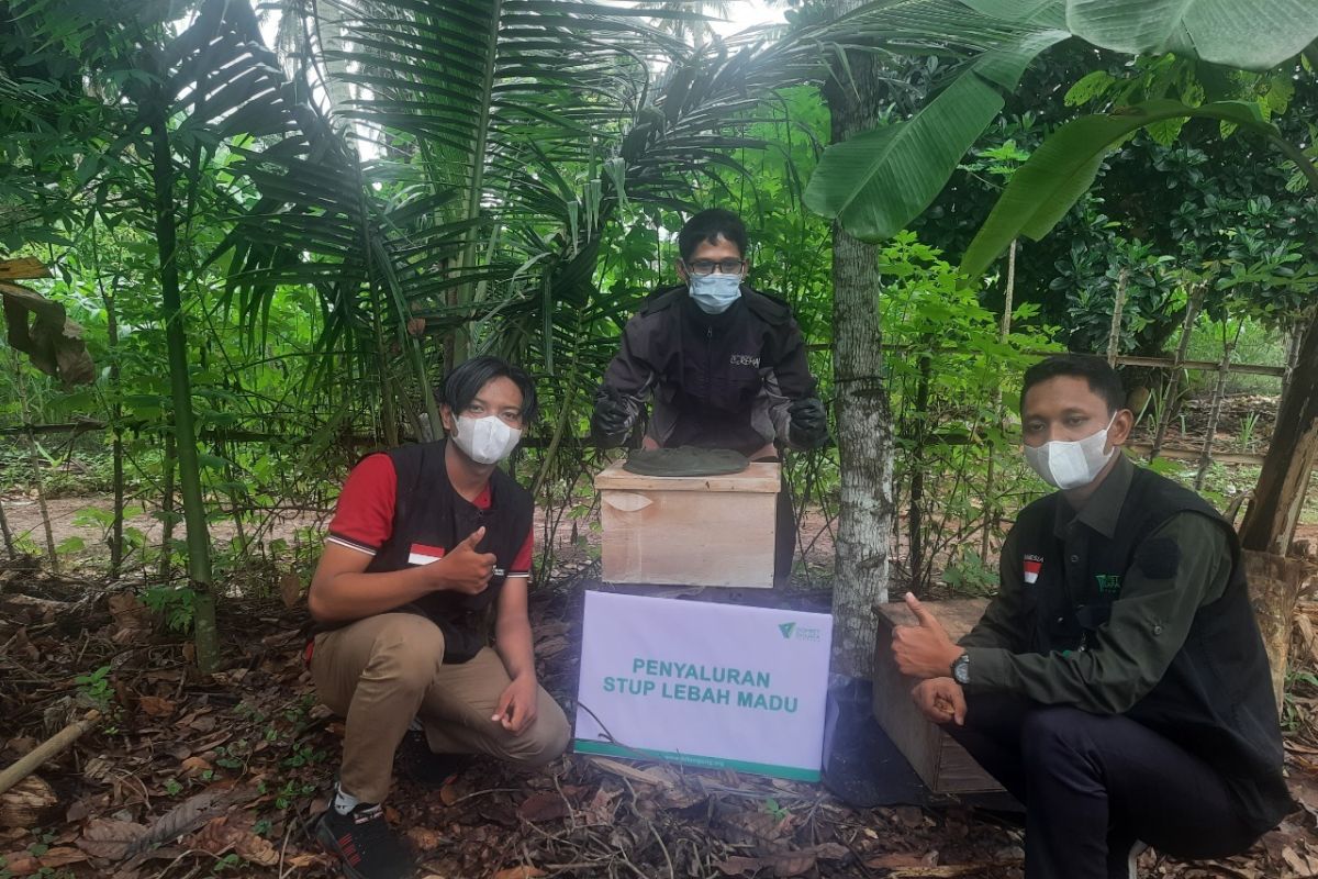 Dompet Dhuafa Lampung berikan pendampingan petani lebah madu