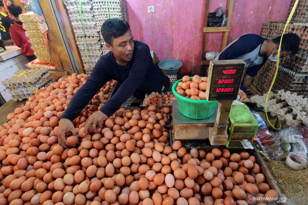 Kemendag: harga bahan pokok telur turun setelah tahun baru