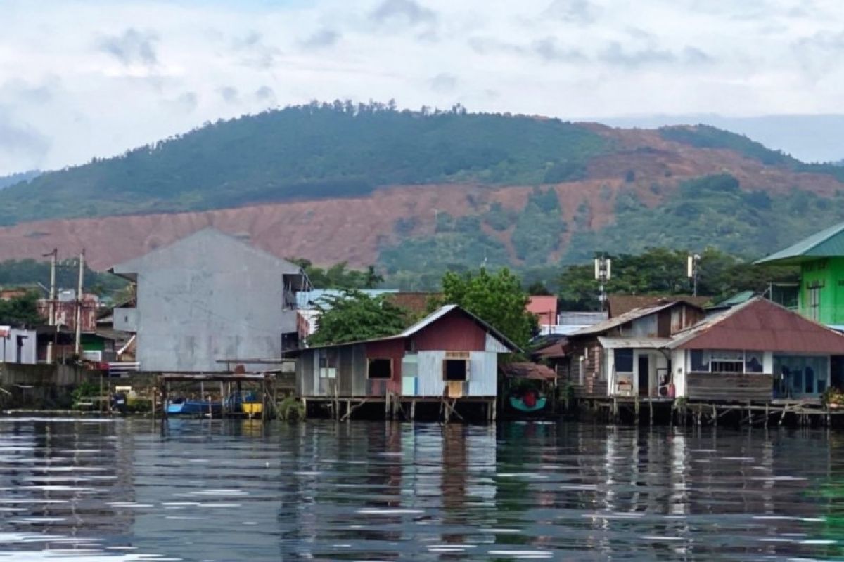 Walhi : Tutupan hutan di Luwu Timur hilang 41 ribu hektare