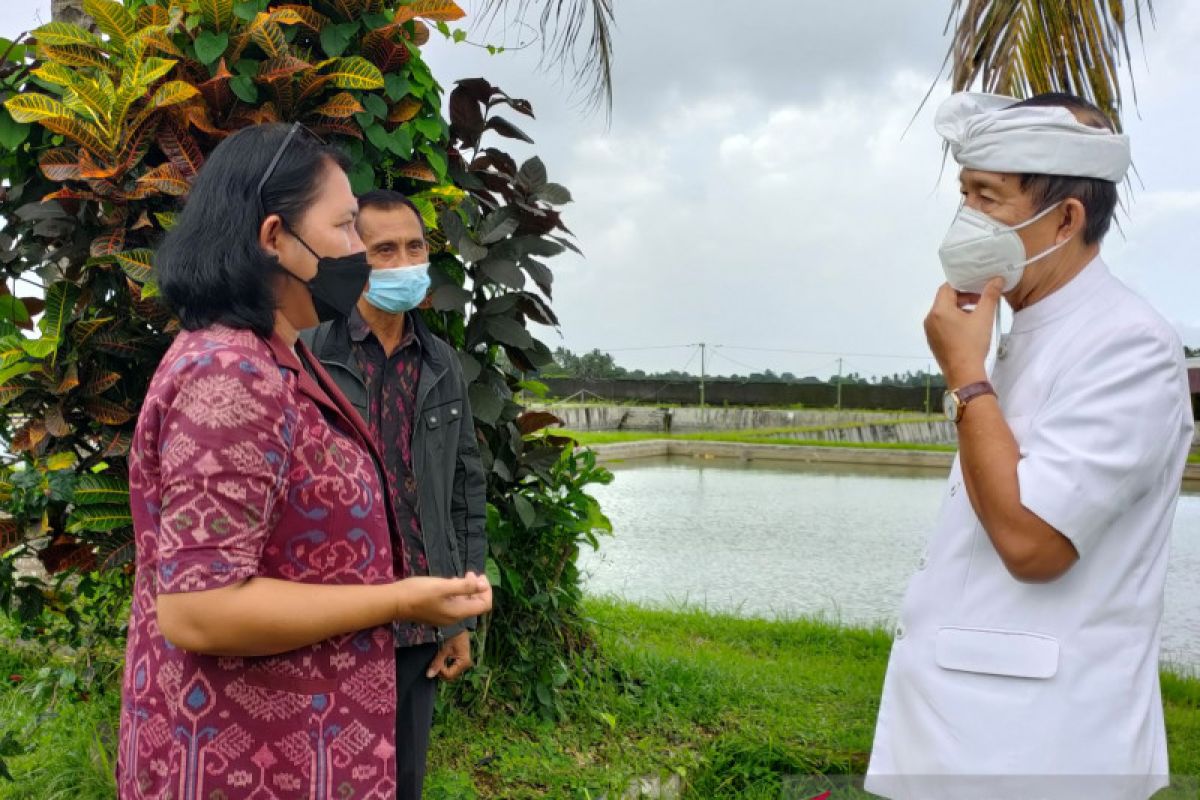 Anggota DPD soroti masalah ketersediaan benih ikan di Bali