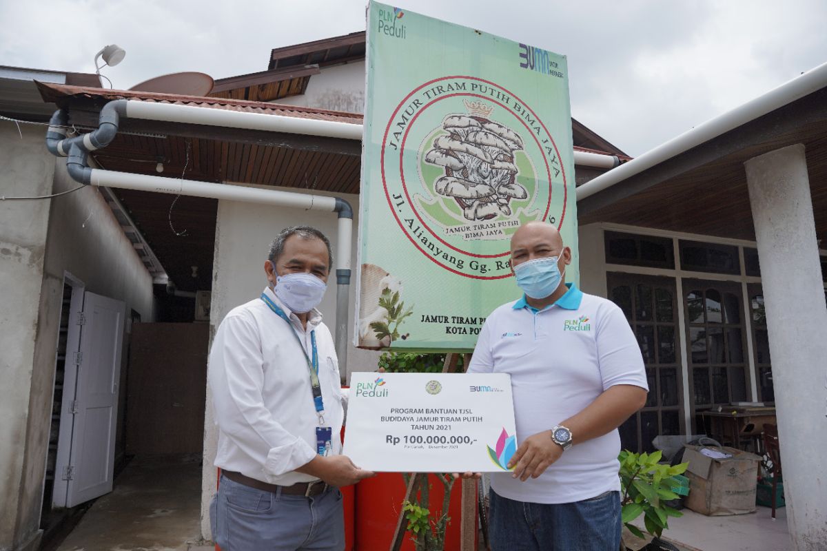 Pengusaha jamur tiram di Pontianak dapat Rp100 Juta dari PLN Peduli