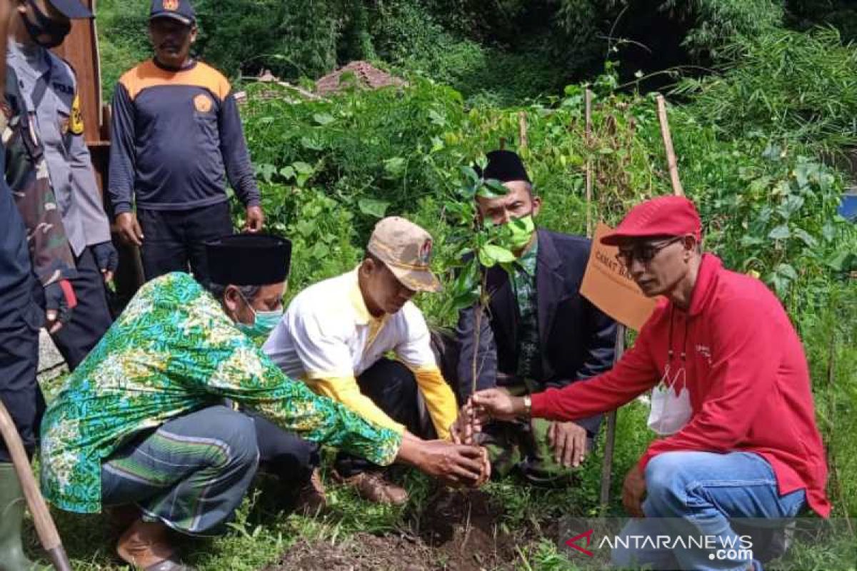 2.500 bibit Pohon Beringin dan Bambu Kuning ditanam di lereng Gunung Sindoro