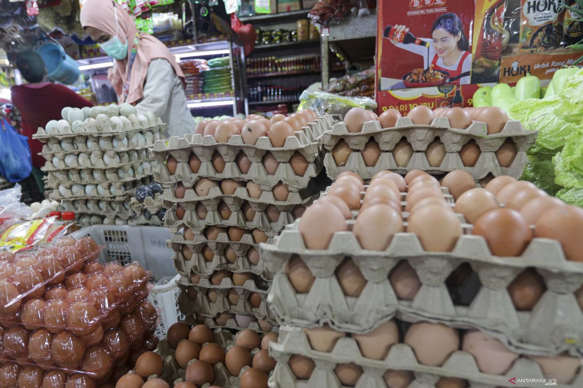 Kemendag sebut harga bahan pokok telur turun setelah Tahun Baru