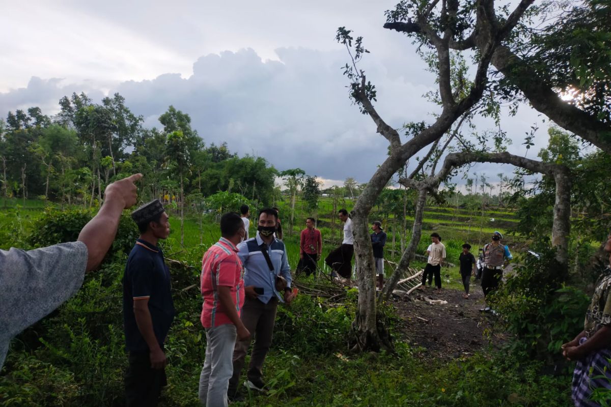 Baru dua hari pulang dari Malaysia, pria di Lombok Tengah gantung diri di pohon beringin