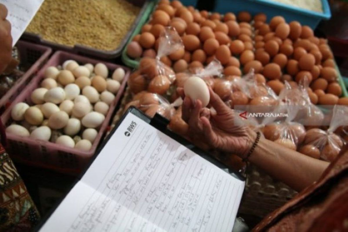 Harga telur ayam di daerah ini tembus Rp30.000/Kg