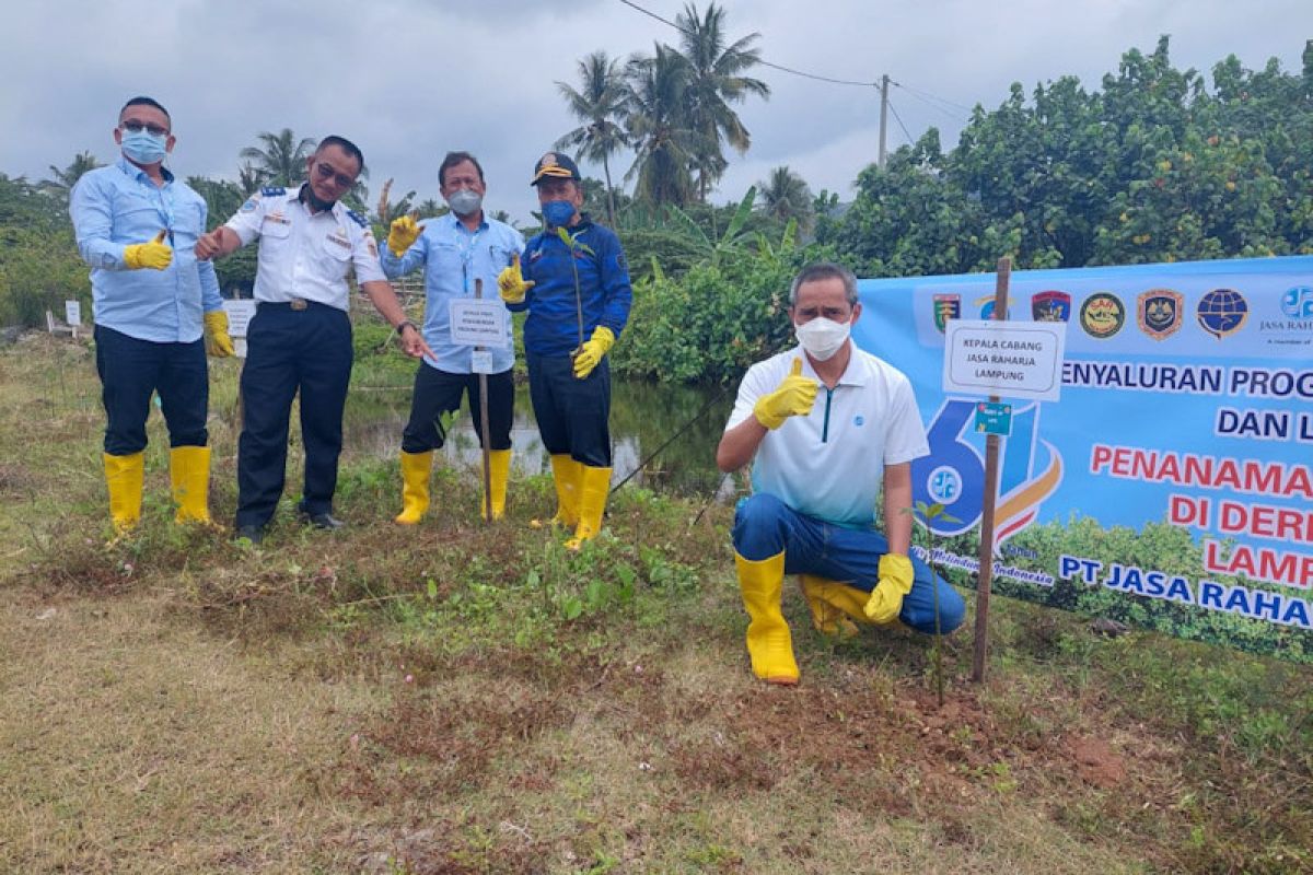 Jasa Raharja tanam pohon mangrove di Dermaga Sebalang