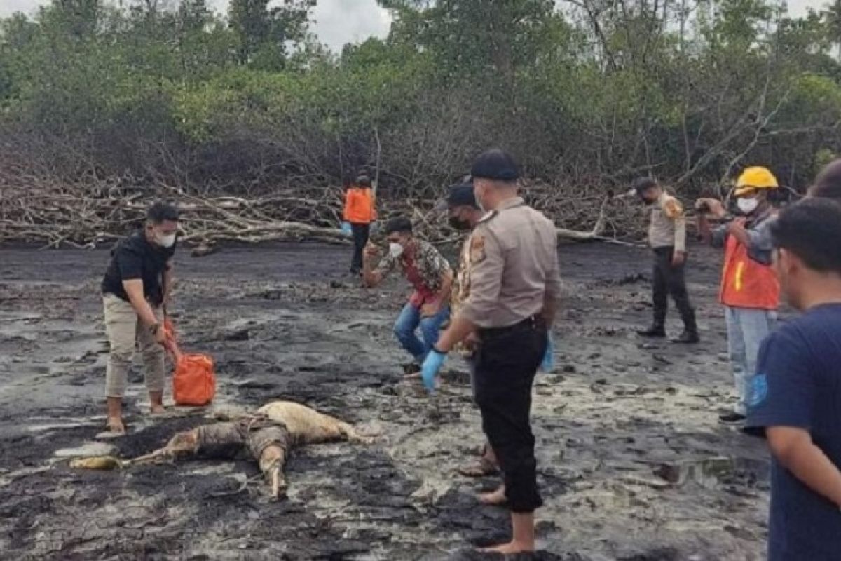 Geger, mayat tanpa kepala ditemukan di pantai Bengkalis