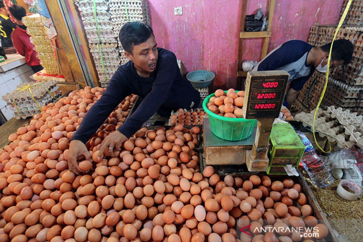 Kemendag sebut harga bahan pokok telur turun setelah Tahun Baru