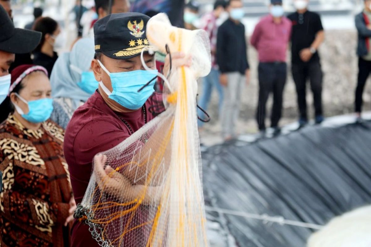 Gubernur harapkan pengembangan shrimp estate Kalteng didukung pemerintah pusat