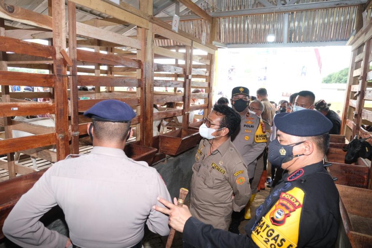 Kementan dan Brimob Sulsel kerja sama pengembangan kambing boerka