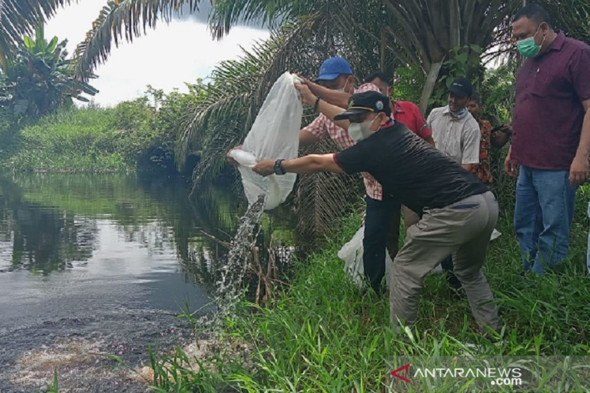 PTPN V tebar sejuta bibit ikan serentak di Riau